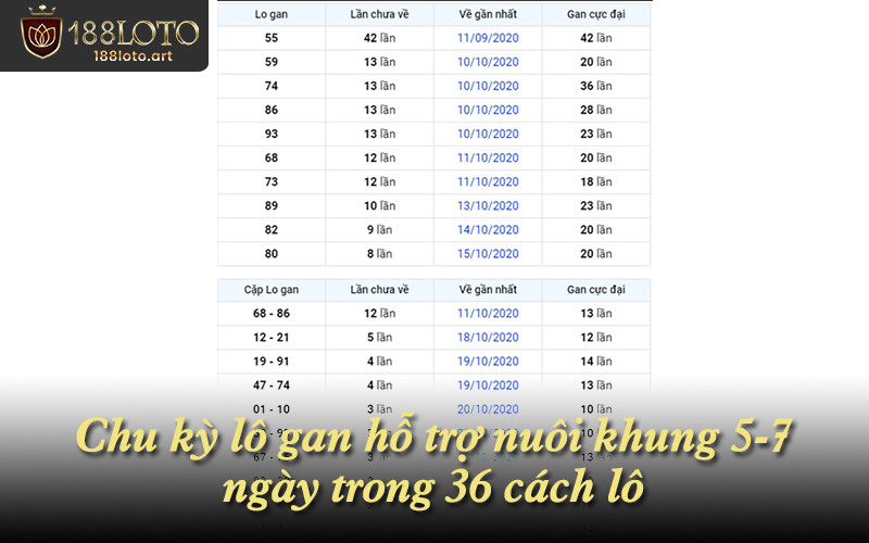 Chu kỳ lô gan hỗ trợ nuôi khung 5-7 ngày trong 36 cách lô