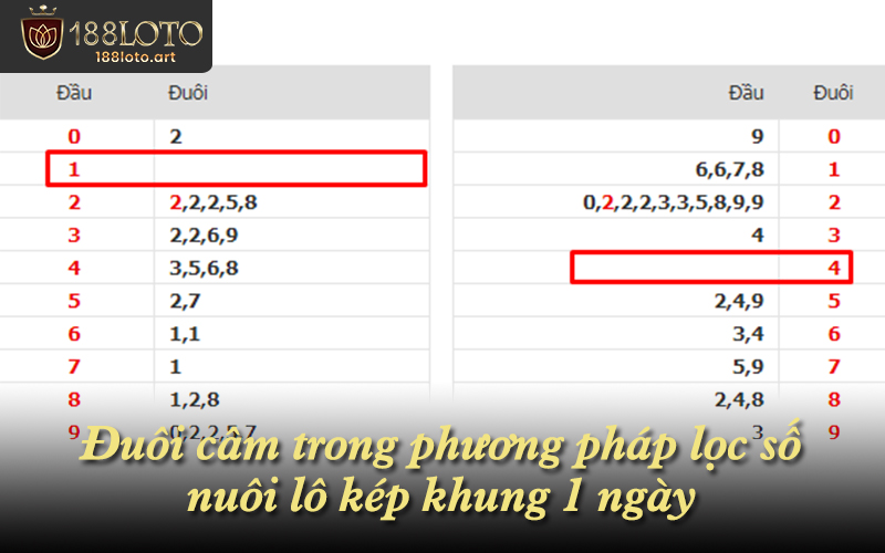 Đuôi câm trong phương pháp lọc số nuôi lô kép khung 1 ngày
