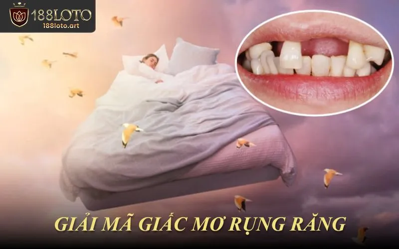 Giải Mã Giấc Mơ Rụng Răng Và Những Tầng Nghĩa Nên Hiểu Rõ
