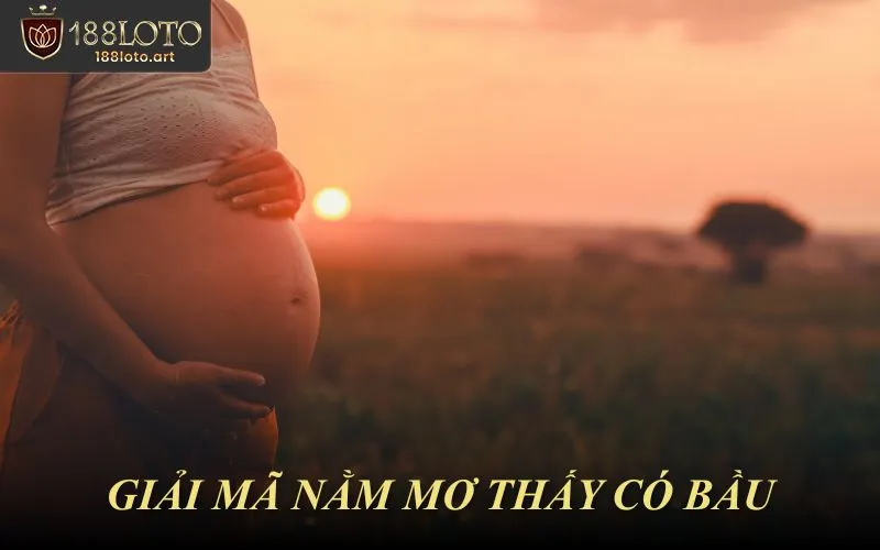 Giải Mã Nằm Mơ Thấy Có Bầu Theo Chi Tiết Và Hoàn Cảnh