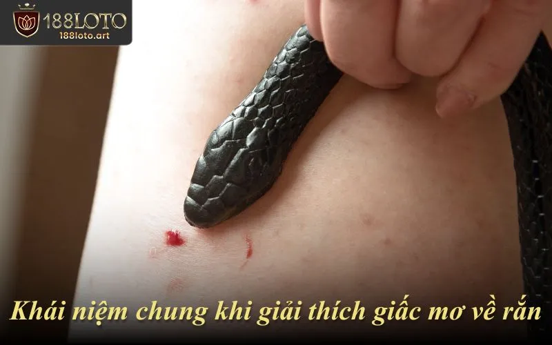 Khái niệm chung khi giải thích giấc mơ về rắn