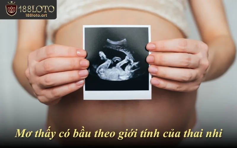 Mơ thấy có bầu theo giới tính của thai nhi