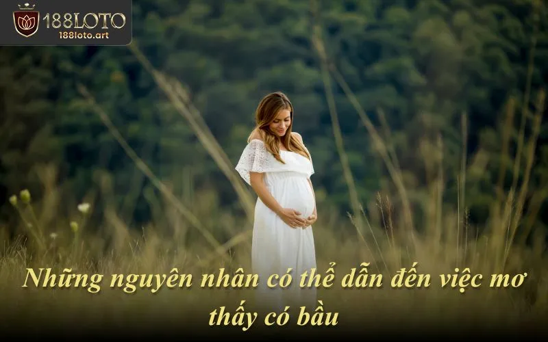 Những nguyên nhân có thể dẫn đến việc mơ thấy có bầu