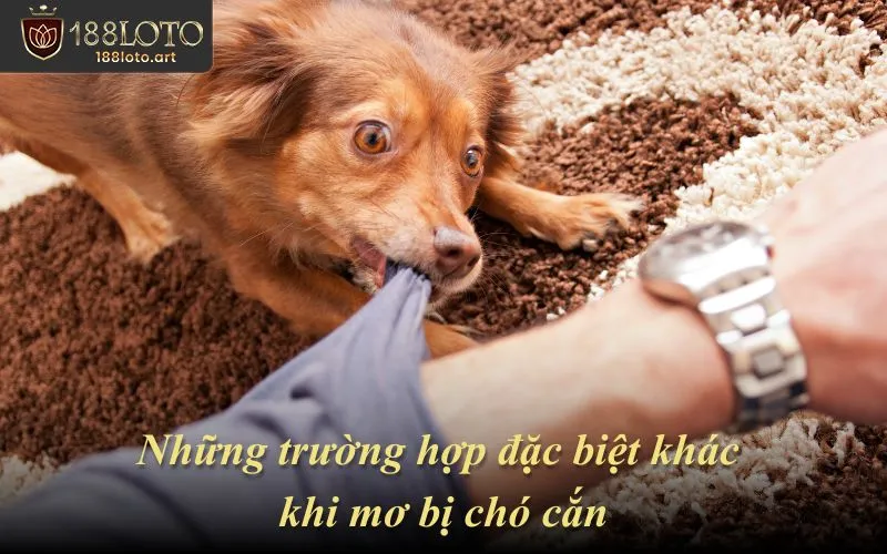 Những trường hợp đặc biệt khác khi mơ bị chó cắn