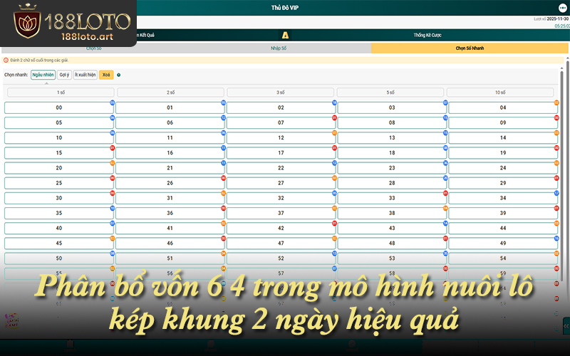 Phân bổ vốn 6 4 trong mô hình nuôi lô kép khung 2 ngày hiệu quả