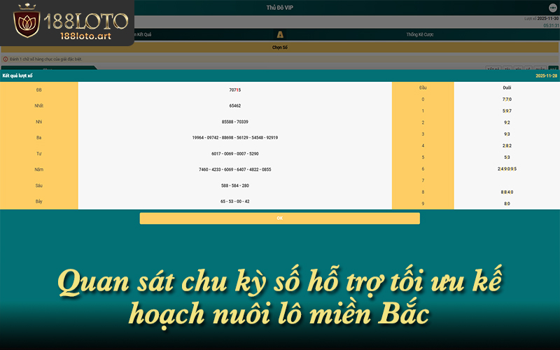 Quan sát chu kỳ số hỗ trợ tối ưu kế hoạch nuôi lô miền Bắc