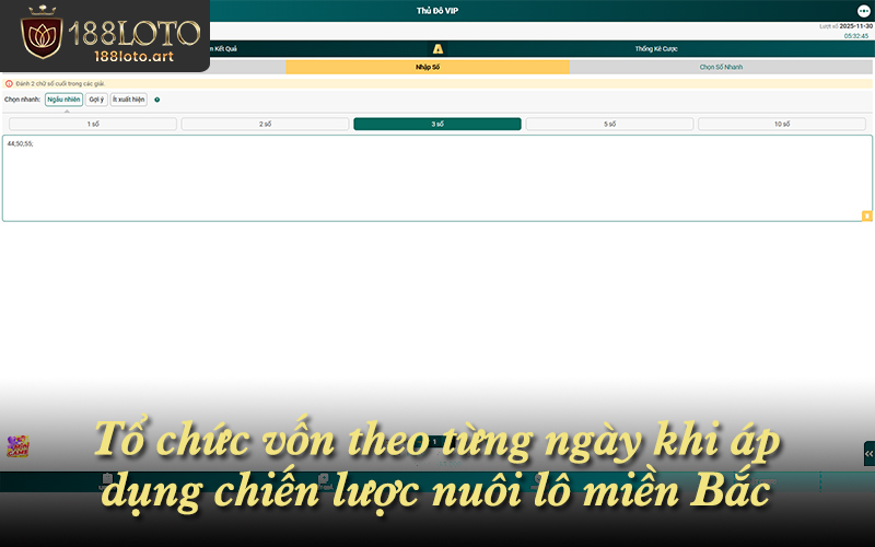 Tổ chức vốn theo từng ngày khi áp dụng chiến lược nuôi lô miền Bắc